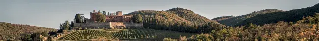 Ricasoli Banner